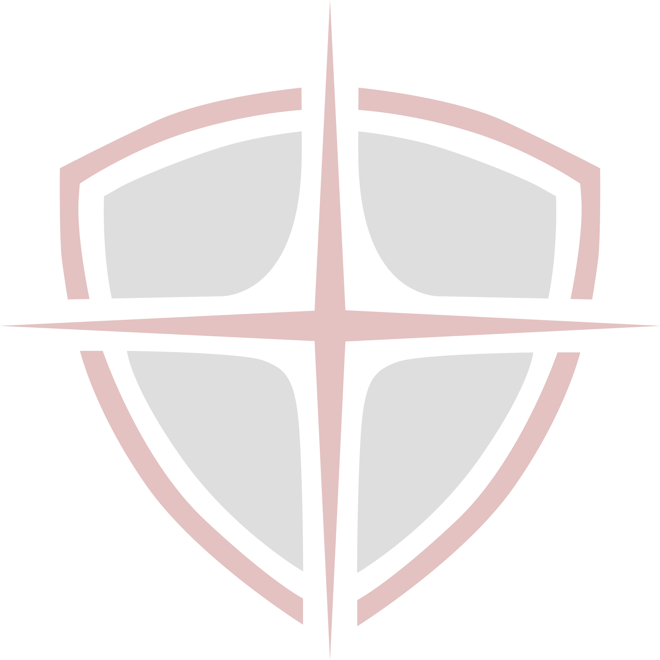 logo-opaque